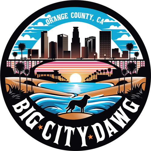 BIGCITYDAWG LLC